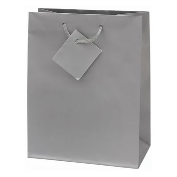 Dísztasak CREATIVE Special Simple M 18x23x10 cm egyszínű ezüst zsinórfüles Dísztasak CREATIVE Special Simple M 18x23x10 cm egyszínű ezüst zsinórfüles