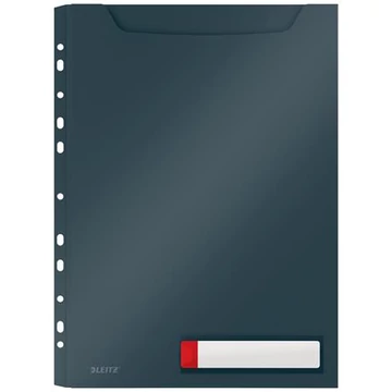 Genotherm, lefűzhető, A4 maxi, LEITZ "Cosy Privacy", bársonyszürke, 3db/cs