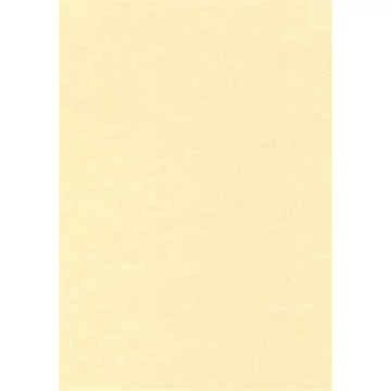 Előnyomott papír, A4, 95 g, pergamen hatású, APLI, pezsgő, 100lap/cs