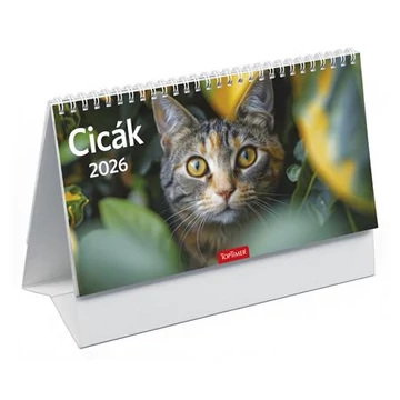 Naptár, asztali, álló, TOPTIMER, "Cicák"