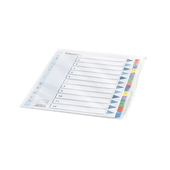 Regiszter, karton, A4, 1-12, ESSELTE "Mylar"