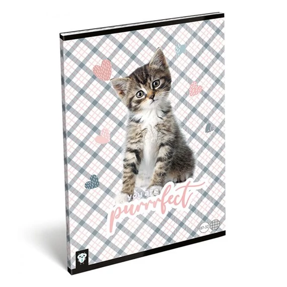 Füzet LIZZY CARD A4 32 lapos kockás 87-32 purrrfect