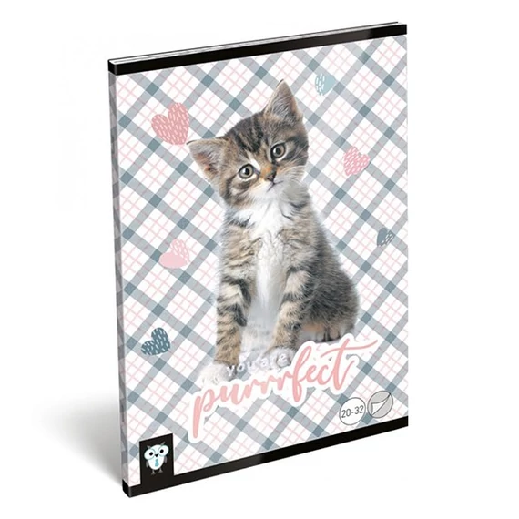 Füzet LIZZY CARD A5 32 lapos sima 20-32 purrrfect