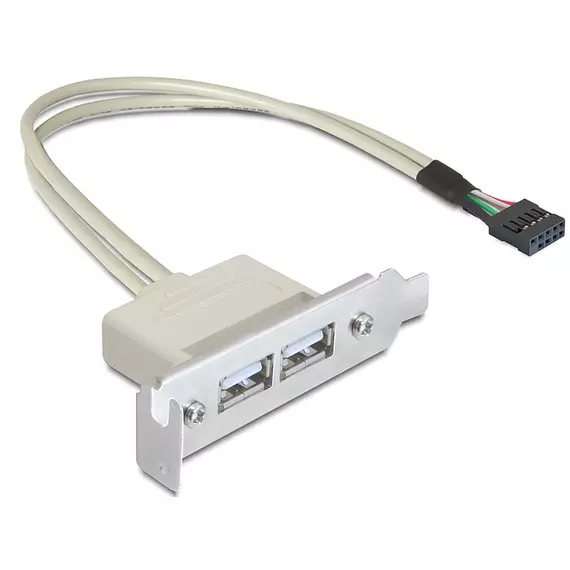 DeLock Slot konzol USB 2.0 low profile 2 port