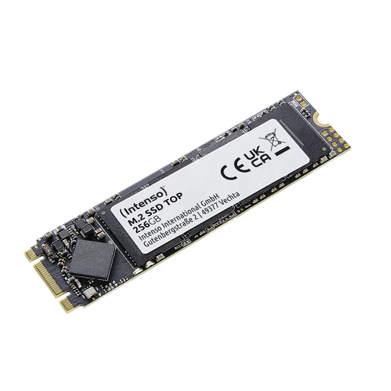 Intenso 256GB M.2 SATA 2280 Top Performance SSD