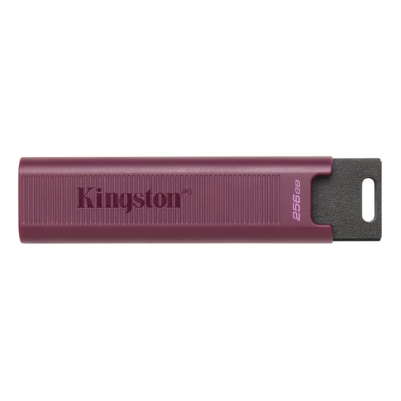 Kingston 256GB USB3.2 Type-A DataTraveler Max (DTMAXA/256GB) pendrive