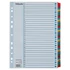 Regiszter, karton, A4, 1-31, ESSELTE "Mylar"