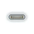 Apple USB C - Apple Pencil adapter