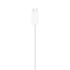 Apple Watch Magnetic Fast Charger to USB-C Cable 1m White