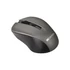 Canyon CNE-CMSW1G Wireless Grey
