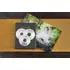 VERBATIM DVDV-16 DVD-R normál tokos DVD lemez