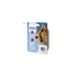 Epson T0713 Magenta Tintapatron (eredeti)