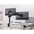 EQuip 17"-32" Dual Monitor Desk Mount Bracket Black
