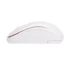 Everest SMW-666 Optical Wireless Mouse White