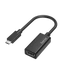 Hama 205160 FIC Ultra HD (4K) USB-C - HDMI adapter