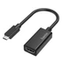 Hama 205160 FIC Ultra HD (4K) USB-C - HDMI adapter