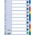 Regiszter, műanyag, A4, 10 részes, ESSELTE
