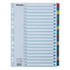 Regiszter, karton, A4, 1-20, ESSELTE "Mylar"