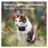 Tractive GPS CAT Mini kék macska GPS nyomkövető és tevékenységfigyelő