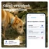 Tractive GPS DOG 6 menta kutya GPS nyomkövető és tevékenységfigyelő
