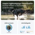 Tractive GPS DOG XL Adventure Edition kutya GPS nyomkövető és tevékenységfigyelő