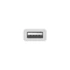 Apple USB-C » USB adapter
