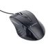 Gembird MUS-4B-02 optical mouse Black