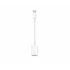 Apple USB-C » USB adapter